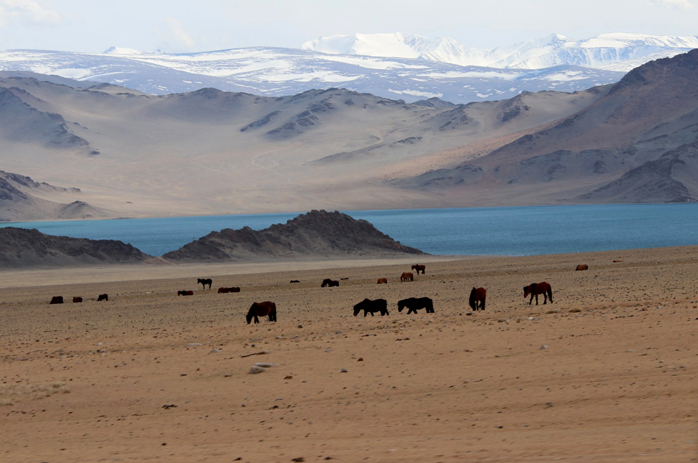 Moğolistan Görülmesi Gerekilen Yerler