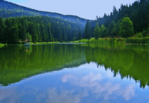 Sinop Akgöl Yaylası